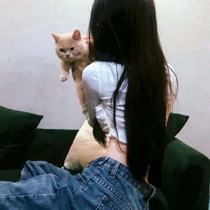 绝对之爱